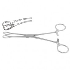 Foerster Sponge Holding Forcep Curved Stainless Steel, 24.5 cm - 9 3/4"